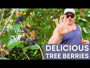 THESE ARE SO MESSY! BUT SO GOOD!