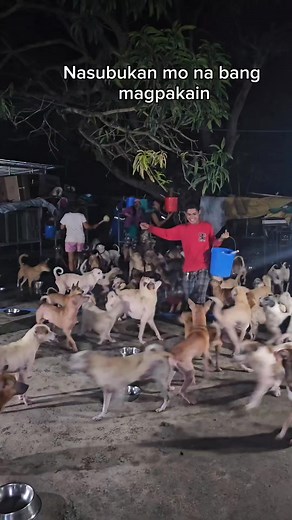 751K views · 10K reactions | Nag pakain kami ng 700 na aso tsaka ng 200 na pusa. Sa The Pawed Life and kay Leah Borbon Leah Borbon Hope for Angels Salamat sa sponsors: Ac And Paws Pet Supplies & Grooming Services Sizzling Port Dhaks Overload Miley Tarot #fudaph #fudaph2025 | FUDA | Facebook