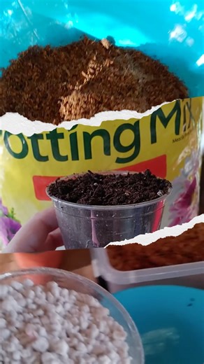 🌿 November 1 – Kitchen Herb Garden Bring fresh flavor to your home cooking! In this workshop, you’ll discover how to grow and use your own herbs year-round. From basil to rosemary, we’ll cover planting tips, care techniques, and fun ways to incorporate herbs into your kitchen routine. Everyone leaves with a mini garden to keep the flavors growing. | Flora and Fauna Festivities