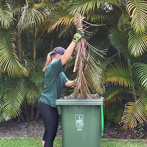 107K views | Brisbane City Council on Reels | Facebook