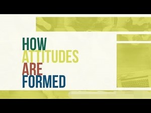 Attitude Formation and Change: Insights from Social Psychology