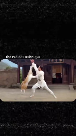 DJ RUSHGROOVE (@tysonjonrushgrove)’s videos with My My My Bootleg - VOLTAGE