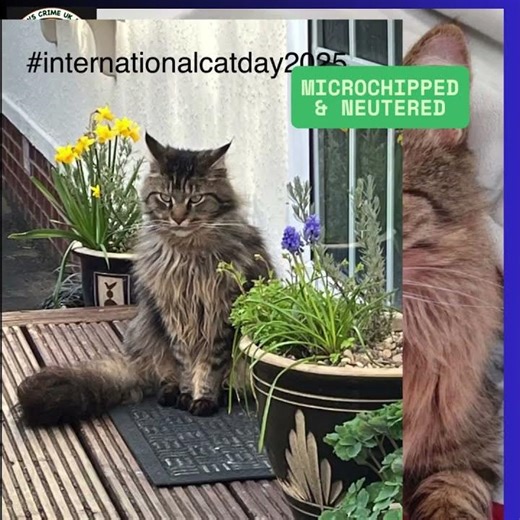 Missing since 19/07/24 From Blenkinsopp Castle CA8 AREA - SPOOKY