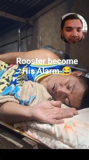 🐔 Rooster Alarm Gone Wrong! 😂 | Funny Wake Up Moment #shorts