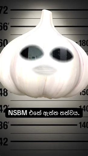 My Journey at NSBM Green University