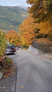 Just now.... Victoria & Cedar.. Moving into the backyards. | Greg Vaughan