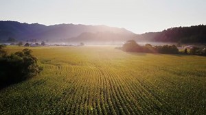 Drone Flight Over Oregon and the Cascade Range of the Pacific Northwest