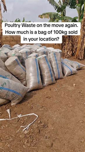 Maximizing Profits from Poultry Waste in Nigeria