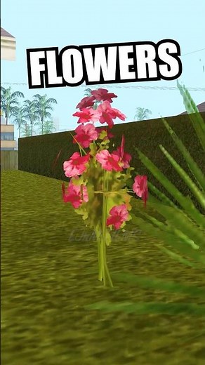 How to get FLOWERS? GTA San Andreas