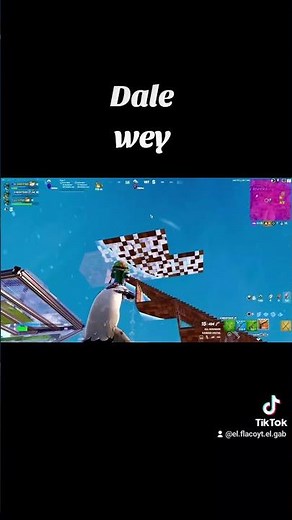 Master Fortnite Dale Wey with these tips