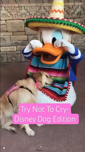 Heartwarming Disney Dog Moments You Won't Recover From 🐶😭