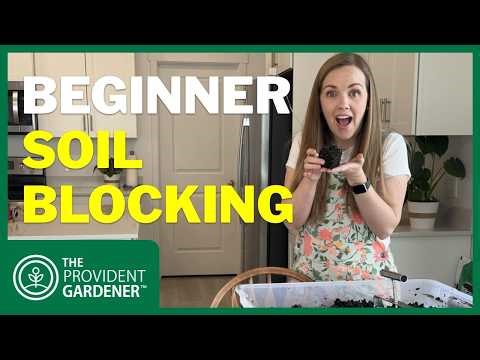 You Don’t Need Seed Trays… Try This Instead