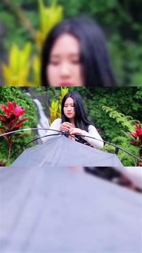 “ Solo Girl Camping | Forest Tent Setup & No Talking Cooking”[Camping Travelling Videos 2M.v