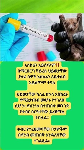 #america #duet #news #habesha