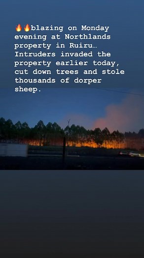 4.3K views · 14 reactions | Hummingbird+ on Reels | Facebook