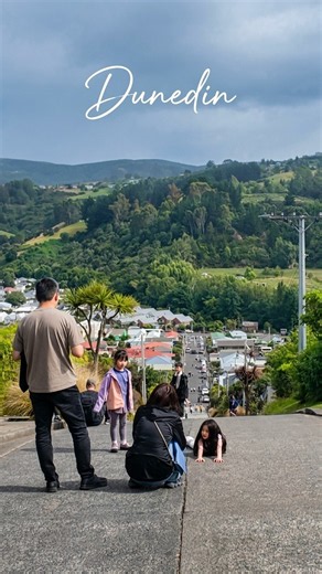 Why Tourists Love Visiting Dunedin, New Zealand #shorts