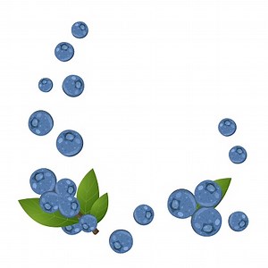 Fresh blueberries with leaves, flat style vector illustration...