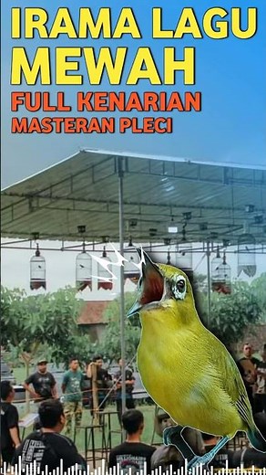 MASTERAN PLECI MATERI MEWAH FULL KENARIAN #masteranpleci #masteranplecijuara