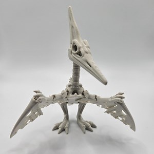 Skeleton Pteranodon | 3D Printed Articulating Flexi Fidget - Etsy