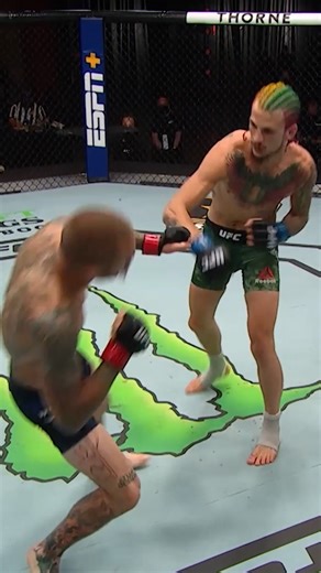 #OnThisDay in 2020: Sean O'Malley showcased his style with this one punch walk off KO 🤯 🔥 | UFC