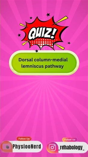 Neuro Anatomy exam ready MCQs 70