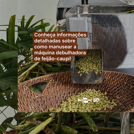 A máquina debulhadora de feijão-caupi (feijão-de-corda) verde é um equipamento que facilita o processo de debulha e aumenta a quantidade do produto disponível para consumo e comercialização. Quando o processo é feito manualmente, uma pessoa leva cerca de uma hora para debulhar seis quilos de feijão. Com a máquina, em aproximadamente sete minutos, é possível debulhar 30 quilos de feijão. A debulhadora de feijão-caupi verde acelera a operação de debulha na agricultura familiar e, consequentemente 