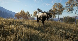 Patch 9.1 Notes
