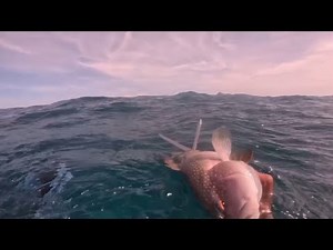 Mamahaling isda naka libre nanaman ulam