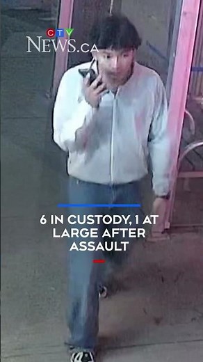 6 in custody, 1 at large after assault