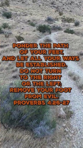 The Path #lasvegas #drone #bible #redrock #nature