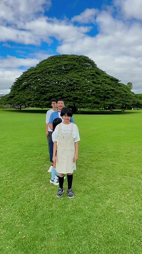 日立の樹歌ってみた🎵 #himawariちゃんねる #まーちゃんおーちゃん #この木なんの木 #ハワイ #youtube