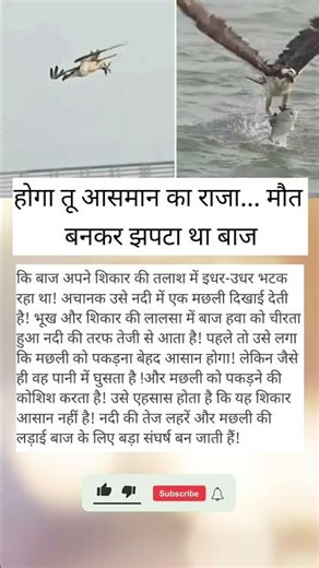 #teamcrazyy #giveawayy