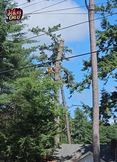 21K views · 222 reactions | When Lumberjack Skills Turn Into Lumberjack Fails! | Jokes On U | Facebook