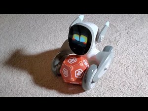 Loona Petbot Latest Update