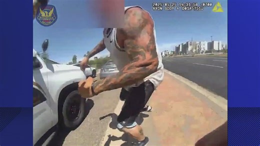 Traffic stop brawl: Video captures driver fighting with Phoenix police officer