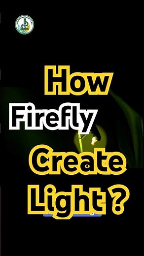 How Fireflies Glow Without Heat ? | Fireflies Are 100% Efficient Light Bulbs