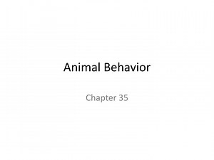 Animal Behavior - SlideServe
