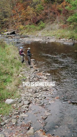 No better feeling than fishing familiar water. #wildfly #wildflyproductions #flyfishing