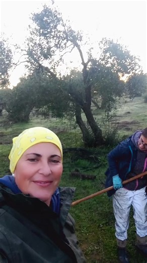 merchi123_hola (@merchi123_hola)’s videos with sonido original - donjosepoveda