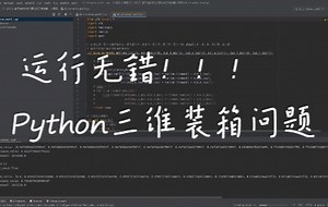 基于Python三维装箱问题