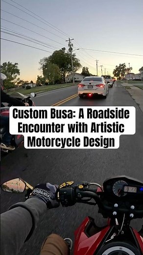 Custom Busa: A Roadside Encounter with Artistic Motorcycle Design