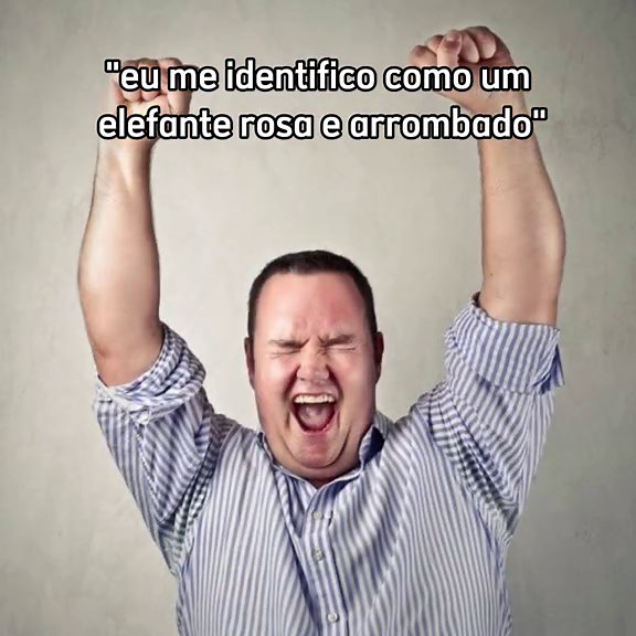 Elefantes Rosas e Arrombados: Uma Celebração Divertida