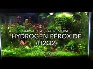 BANISH Algae From Your Aquarium With HYDROGEN PEROXIDE [Algae Control in Planted Tanks]
