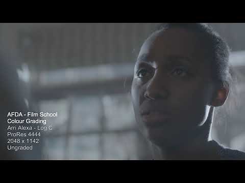 Arri Alexa Prores 4444 Log C Footage | Ungraded Raw footage download| Practice Skin color correction