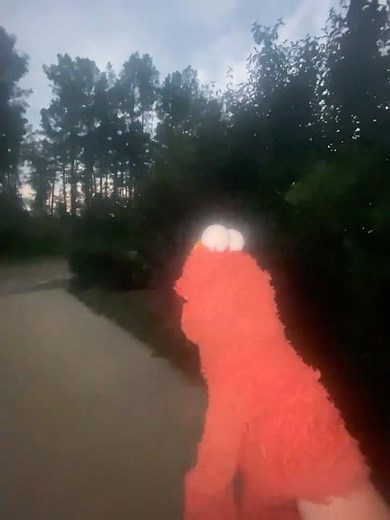 elmo world exercise quiz