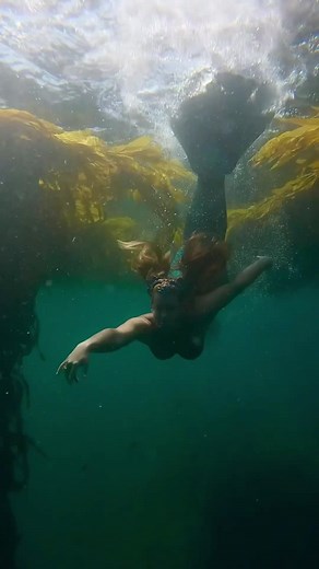 Mermaid playing in the kelp 🪸 #verobeachmermaid #mermaid