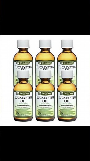 Transform Your Space with Eucalyptus!