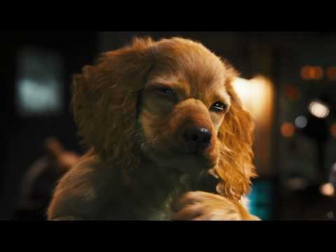 Cats and Dogs: The Revenge of Kitty Galore 3D Full 1080p HD