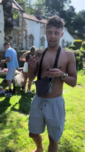 Funny Donkey Moments That Will Make You Laugh