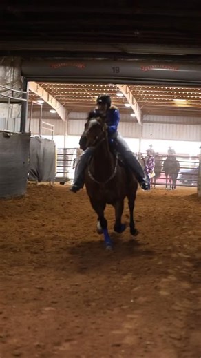 The big cat is back | Fallon Taylor